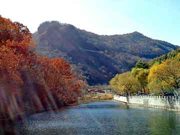 澳门今晚一肖必中特，西峡seo排名